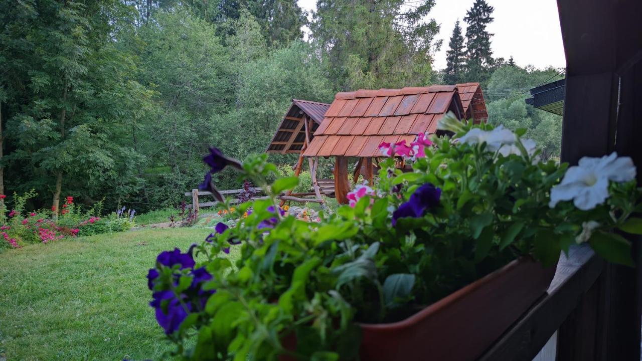 Zatishok Bilya Richky Villa Pilipets Exteriör bild